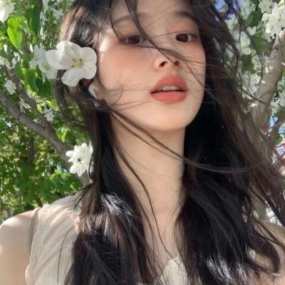 战地神探第八季